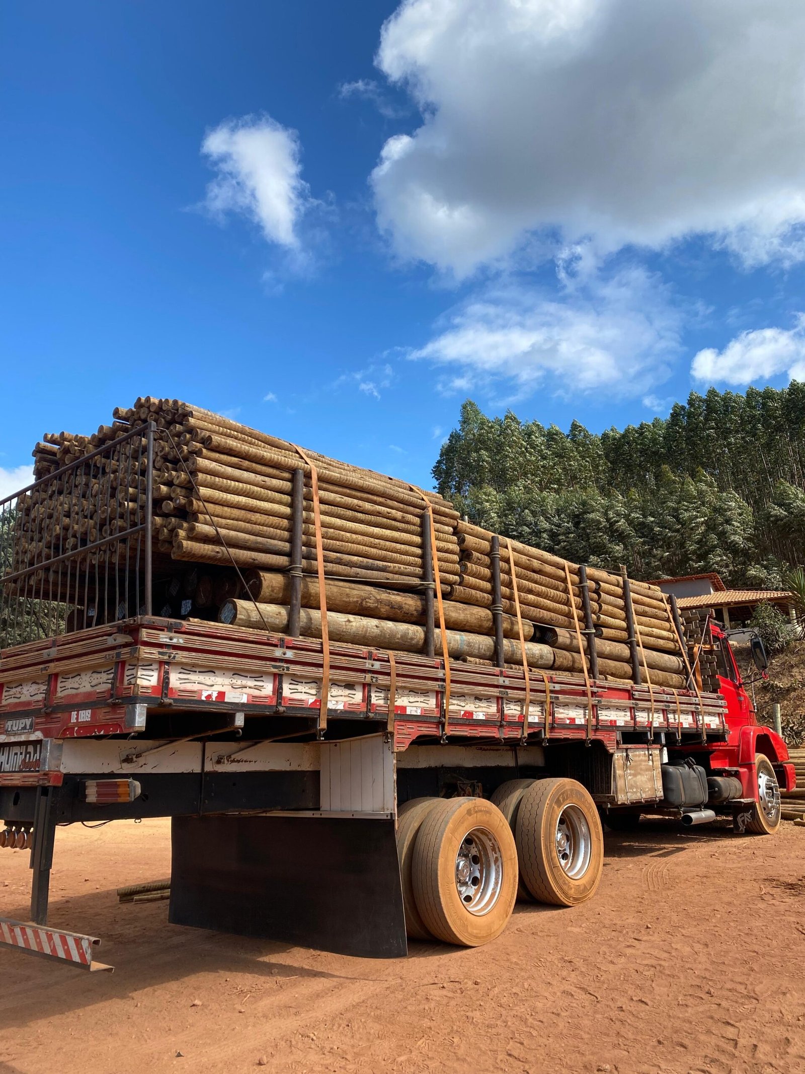 WhatsApp Image 2025-02-07 at 13.31.37 (1)