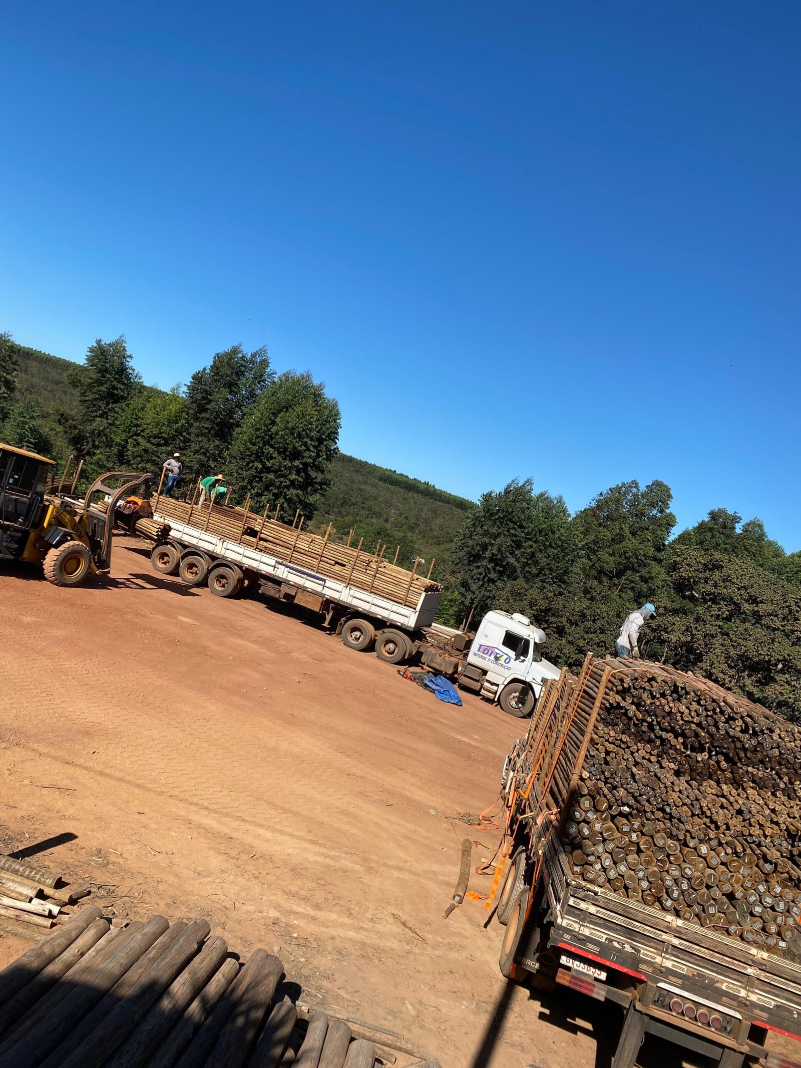 WhatsApp Image 2025-02-07 at 13.31.37