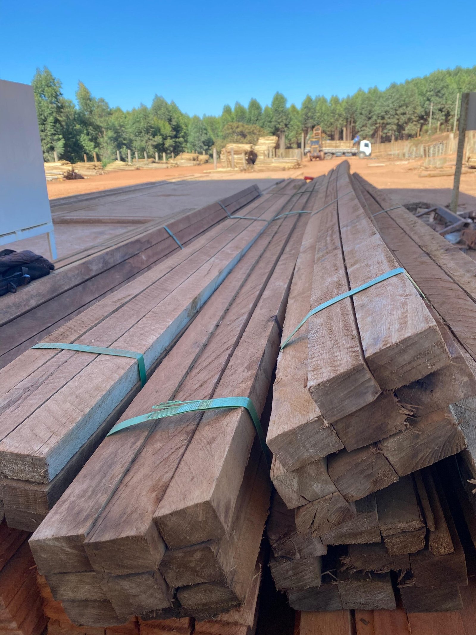 WhatsApp Image 2025-02-07 at 13.31.38