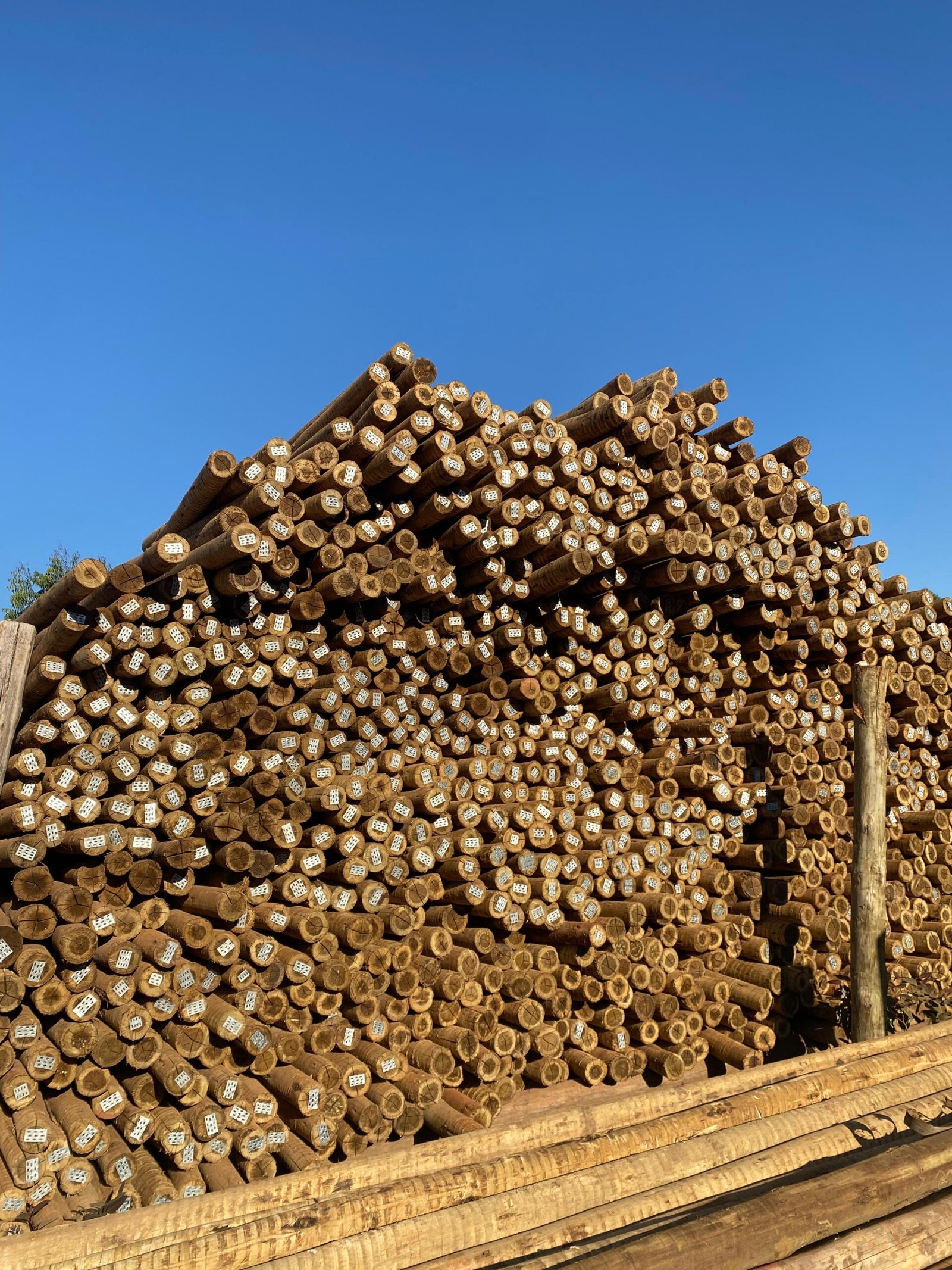 WhatsApp Image 2025-02-07 at 13.31.39 (1)