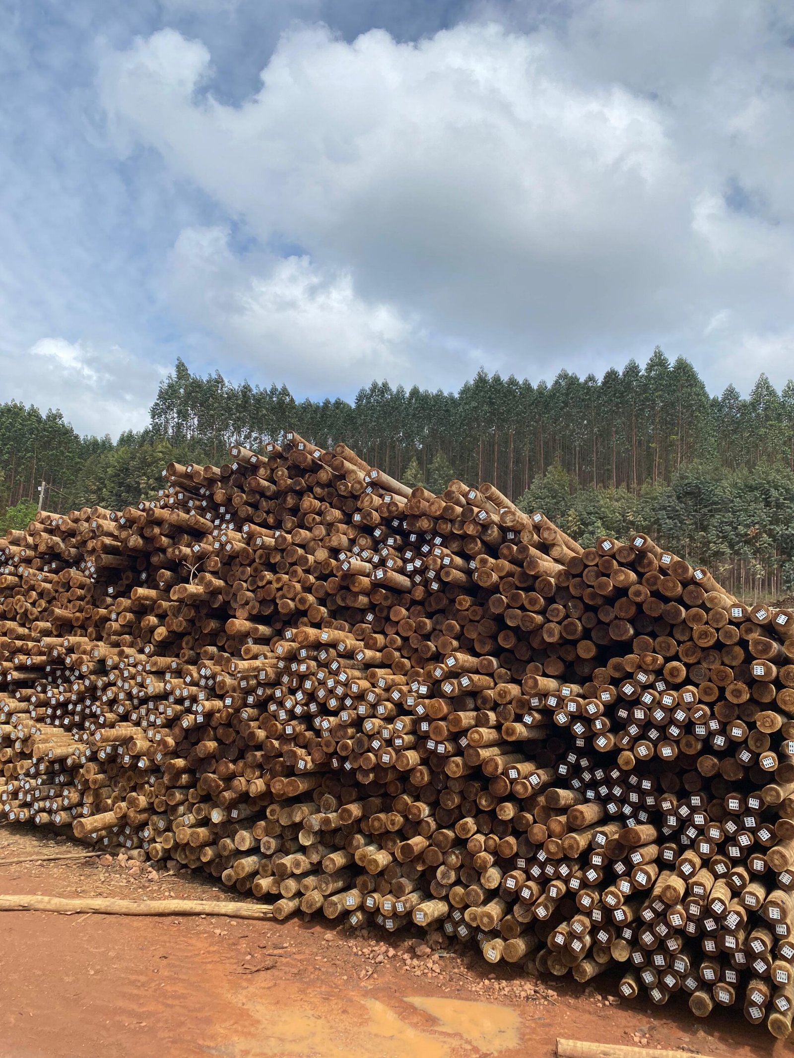 WhatsApp Image 2025-02-07 at 13.31.39 (3)