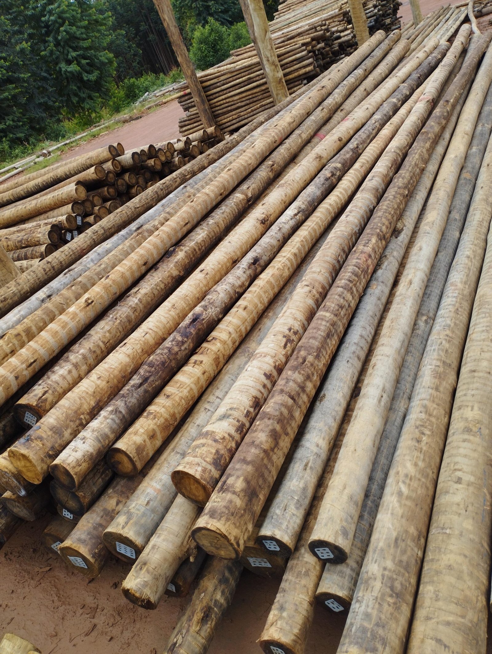 WhatsApp Image 2025-02-07 at 13.31.39