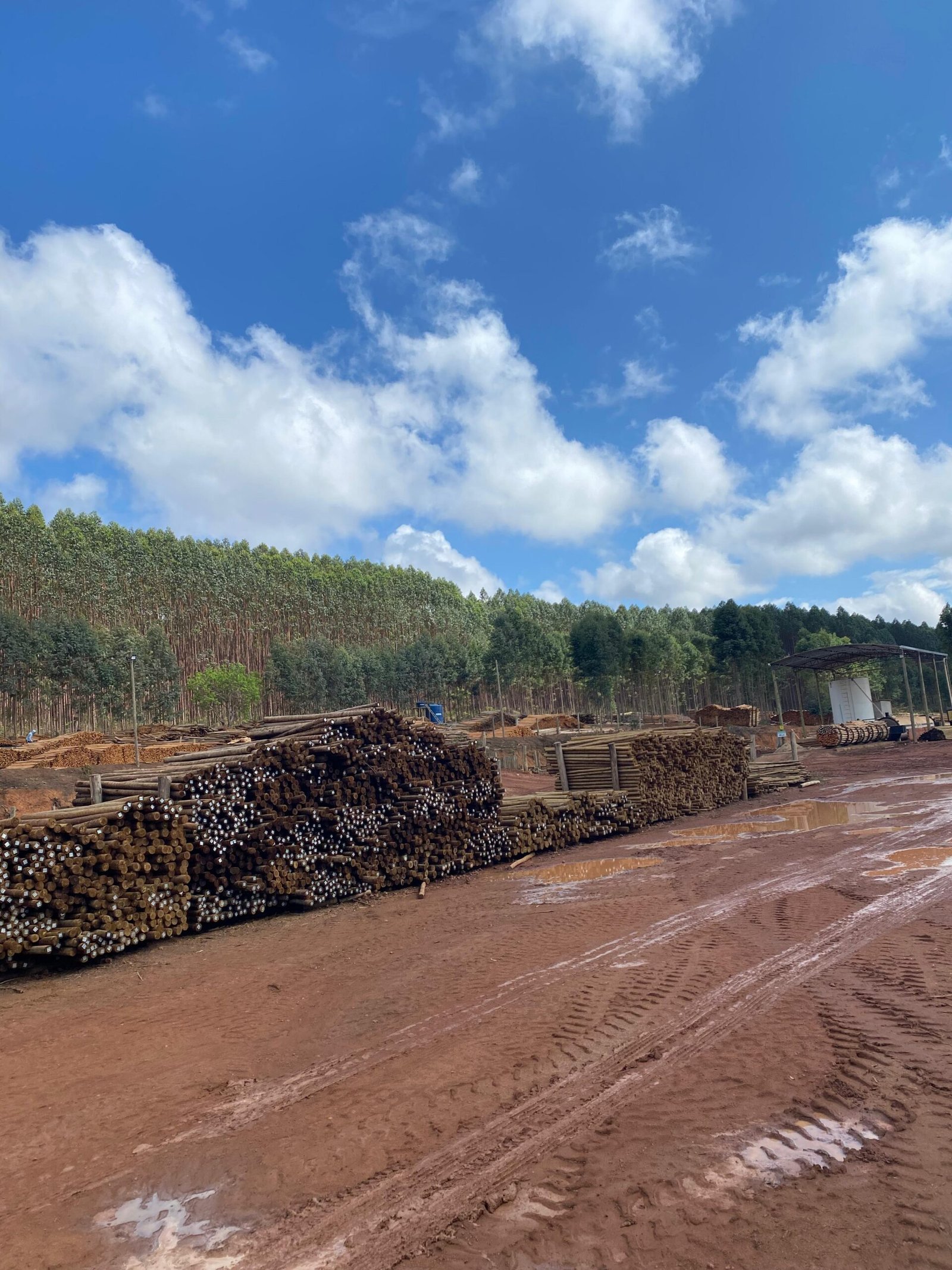 WhatsApp Image 2025-02-07 at 13.31.40 (1)