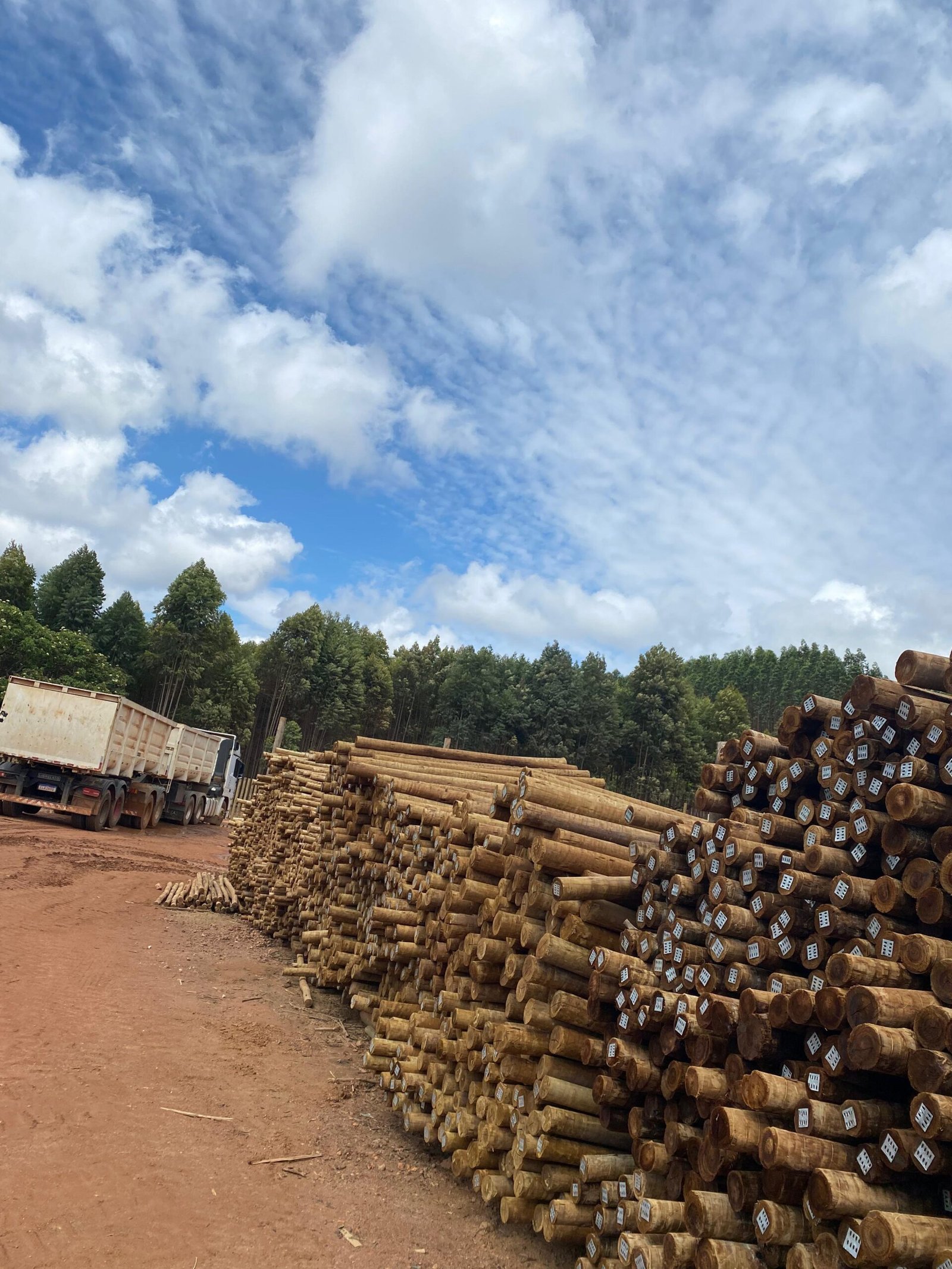 WhatsApp Image 2025-02-07 at 13.31.40 (2)