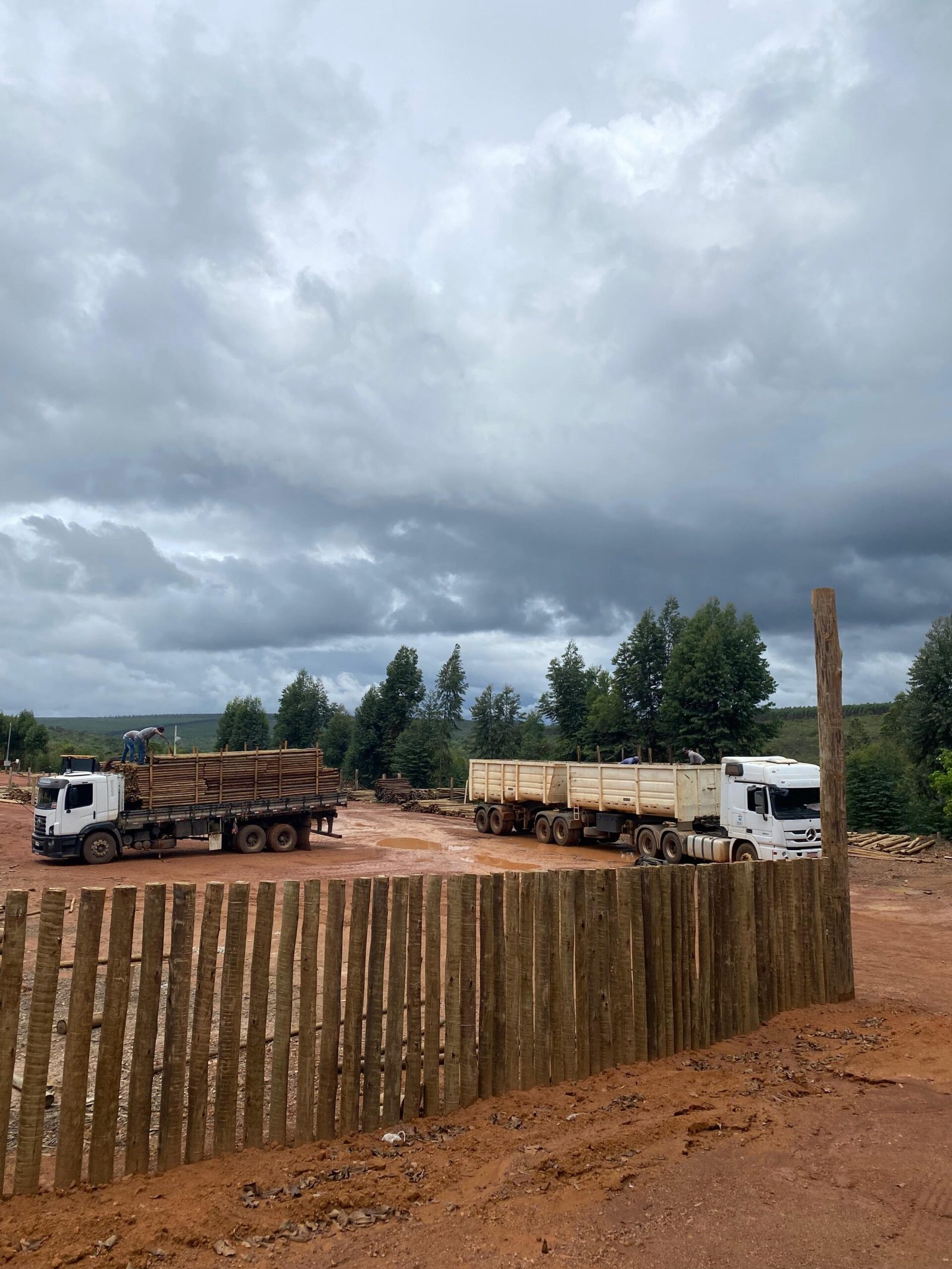 WhatsApp Image 2025-02-07 at 13.31.40 (3)